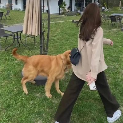 约翰老鼠